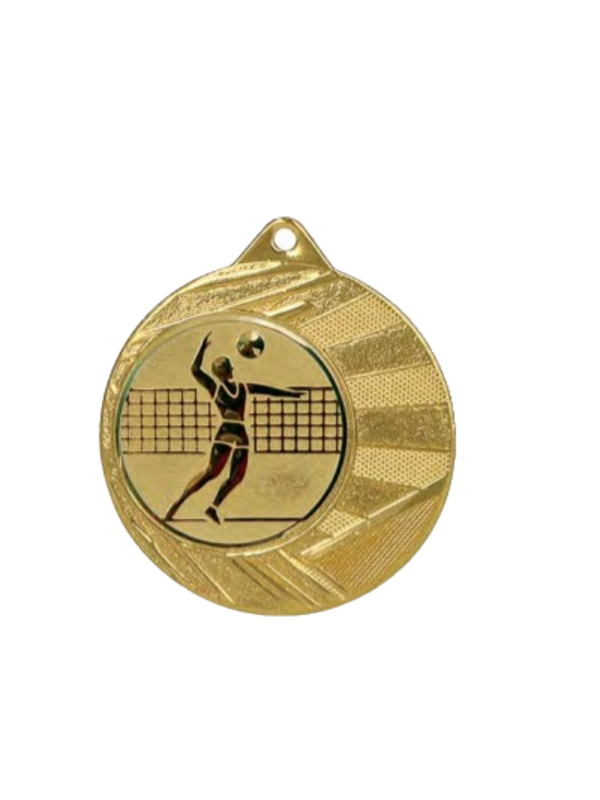 Medalja za odbojku